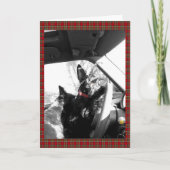 Scottie Karte (Vorderseite)