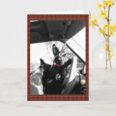 Scottie Karte (Gelbe Blume)