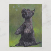"Scottie Lieben Bubbles" Dog Art Postcard Postkarte (Vorderseite)