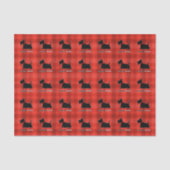 Scottie-Nr. 15 Seidenpapier (Vorderseite)