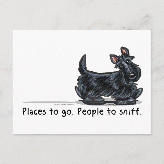 Scottie People zum Sniff Postkarte (Vorderseite)