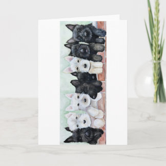 Scottie Puppies Karte