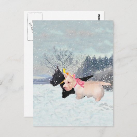 Scottie Pups Postkarte (Vorne/Hinten)