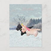 Scottie Pups Postkarte (Vorderseite)