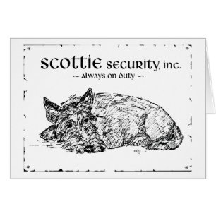 Scottie Sketch - Sicherheit?