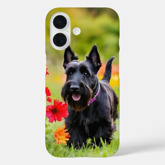 Scottie Terrier spielt im Gras Case-Mate iPhone Hülle (Rückseite)