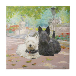 Scottie und Westie in einem Garten Fliese