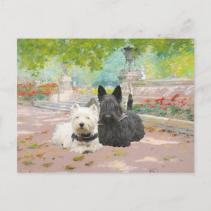 Scottie und Westie in einem Garten Postkarte