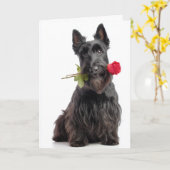 Scottie Valentine Karte (Gelbe Blume)