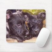 Scottie-Welpen Mousepad (Mit Mouse)