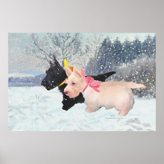 Scottie-Welpen Poster (Vorne)