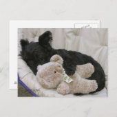 Scottie-Welpen-Schlaf Postkarte (Vorne/Hinten)