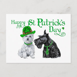 Scottie & Westie St. Patrick's Day Postkarte