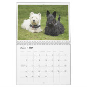 Scotties and Westies CALENDAR Kalender (Mär 2027)