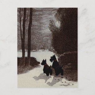 Scotties in surrealer Winternacht Postkarte