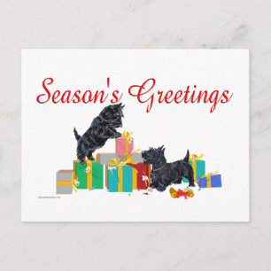 Scotties sortieren die Weihnachtsgeschenke Feiertagspostkarte