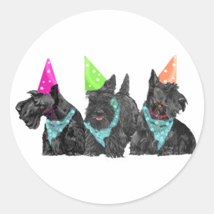 Scotties zur Feier in Partyhüten Runder Aufkleber