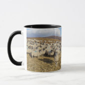Scottish Blackface Sheep Herd Tasse (Links)