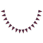 Scottish Clan MacTavish Tartan Wimpelkette (Alle)