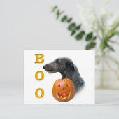 Scottish Deerhound Boo Postkarte (Stehend Vorderseite)
