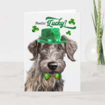 Scottish Deerhound Dog Lucky St Patrick's Day