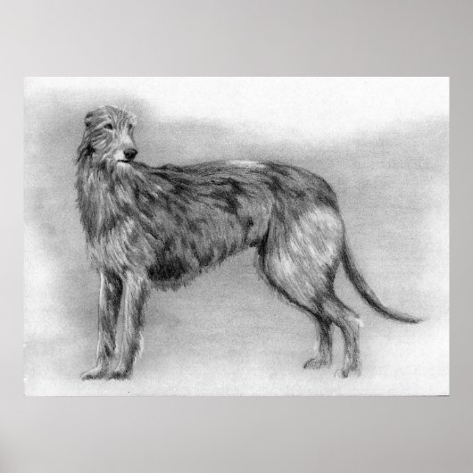 Scottish Deerhound Dog Portrait Poster (Vorne)