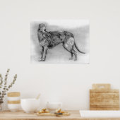 Scottish Deerhound Dog Portrait Poster (Küche)