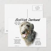 Scottish Deerhound History Design Postkarte (Vorne/Hinten)