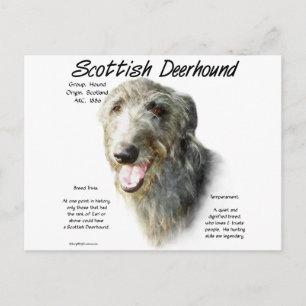 Scottish Deerhound History Design Postkarte