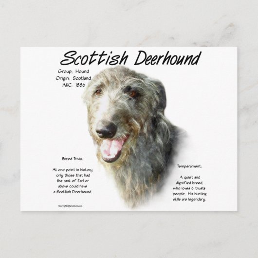 Scottish Deerhound History Design Postkarte (Vorderseite)