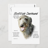 Scottish Deerhound History Design Postkarte (Vorne/Hinten)