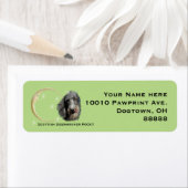 Scottish Deerhound, Moon and Stars (Insitu)