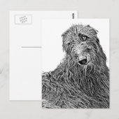 Scottish deerhound Noir et Blanc Postkarte (Vorne/Hinten)