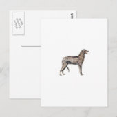 Scottish Deerhound Postkarte (Vorne/Hinten)