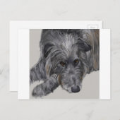 Scottish Deerhound Postkarte (Vorne/Hinten)