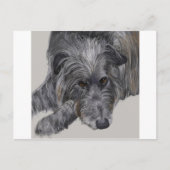 Scottish Deerhound Postkarte (Vorderseite)