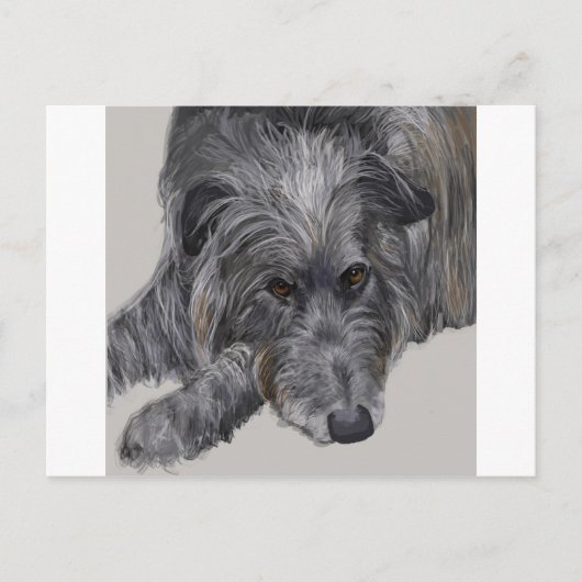 Scottish Deerhound Postkarte (Vorderseite)