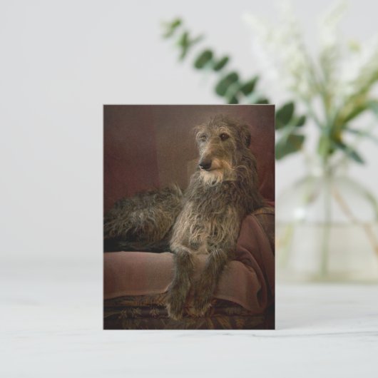 Scottish Deerhound Postkarte (Stehend Vorderseite)