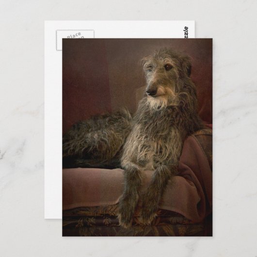 Scottish Deerhound Postkarte (Vorne/Hinten)