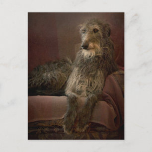 Scottish Deerhound Postkarte