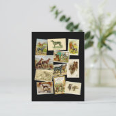 Scottish deerhound: Vintag Postkarte (Stehend Vorderseite)