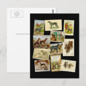 Scottish deerhound: Vintag Postkarte (Vorne/Hinten)