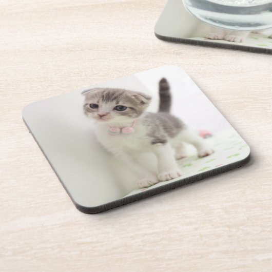 Scottish-Falten-Kätzchen Untersetzer (Linke Seite)