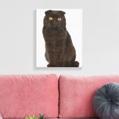 Scottish Fold (18 Monate alt), sitzend Leinwanddruck (Insitu (Wohnzimmer))
