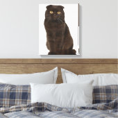 Scottish Fold (18 Monate alt), sitzend Leinwanddruck (Insitu (Schlafzimmer))