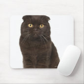 Scottish Fold (18 Monate alt), sitzend Mousepad (Mit Mouse)