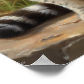 Scottish Fold Cat Art Print Poster (Ecke)