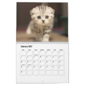 Scottish Fold Cat Calendar Kalender (Feb 2027)