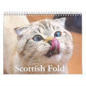 Scottish Fold Cat Calendar Kalender (Titelbild)
