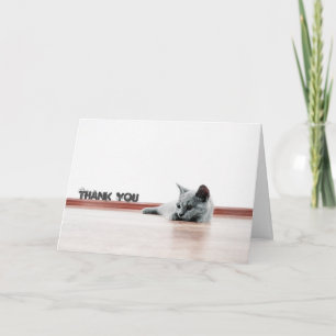 Scottish Fold Cat Kitten Super Niedlich "Danke" Dankeskarte